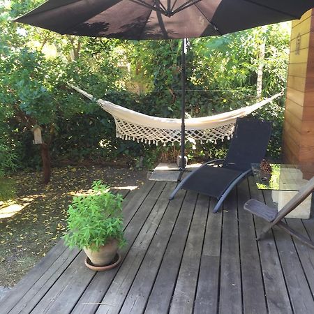 Chambre D'Hotes Du Clos Bamboo Mérignac Eksteriør bilde